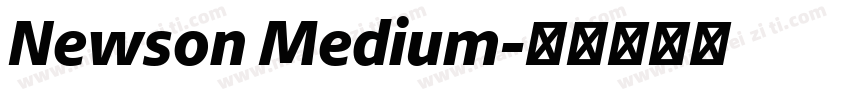 Newson Medium字体转换